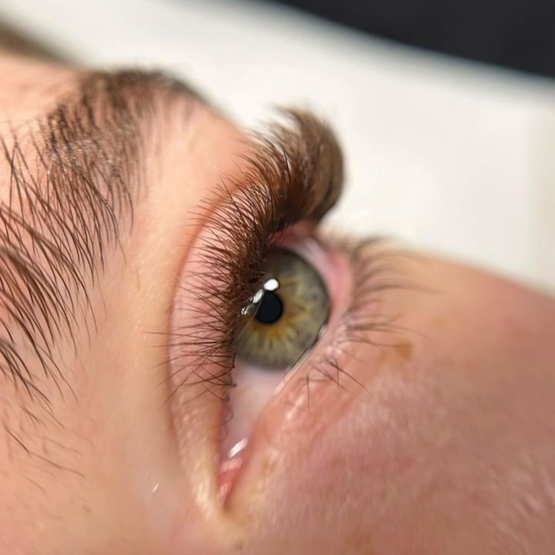 Double Layer Promade 10D 500 Fans - For Professional Eyelash Extension - Pinneacle Lash