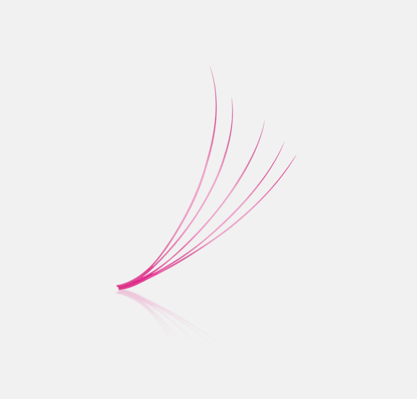 Colored Fans - 1200 Fans - 8 Sizes In 1 Box - 4D Volume