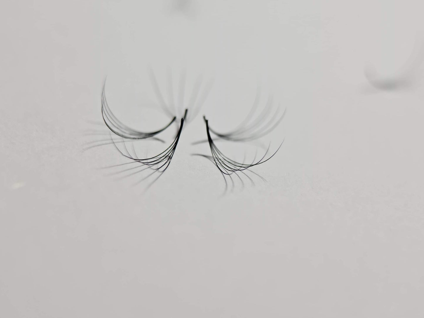 1200 Fans - 8 sizes 1 in box | Lengths: 11-18mm | Round Box | 7D