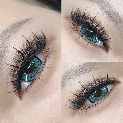 Wispy 500 Fans | 7D volume | C curl | 11mm (spike 13mm)
