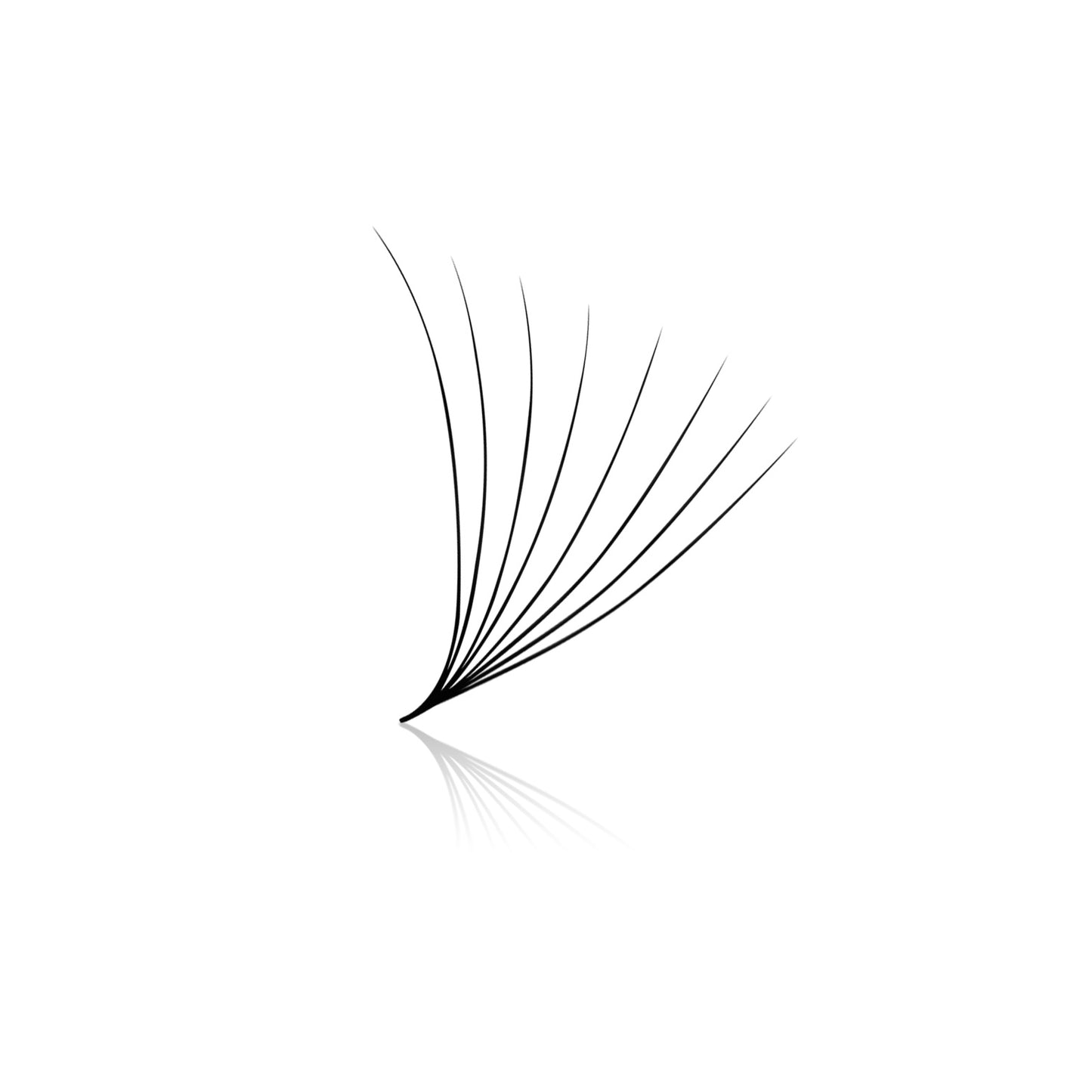 1200 Premade Volume Fans - 8 sizes 1 in box | 9-16mm | 8D