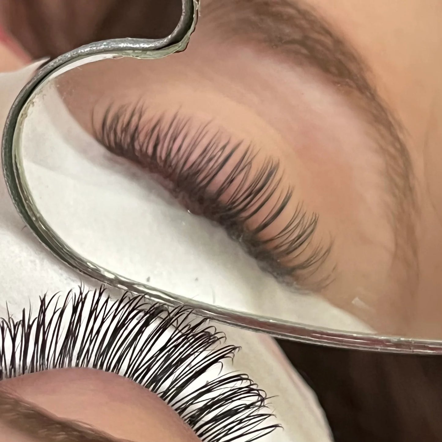 Mixed Size - Soft Flat Classic Tray - Ultra Matte Flat Base Lash 0.15 - Pinneacle Lash Extension Supply