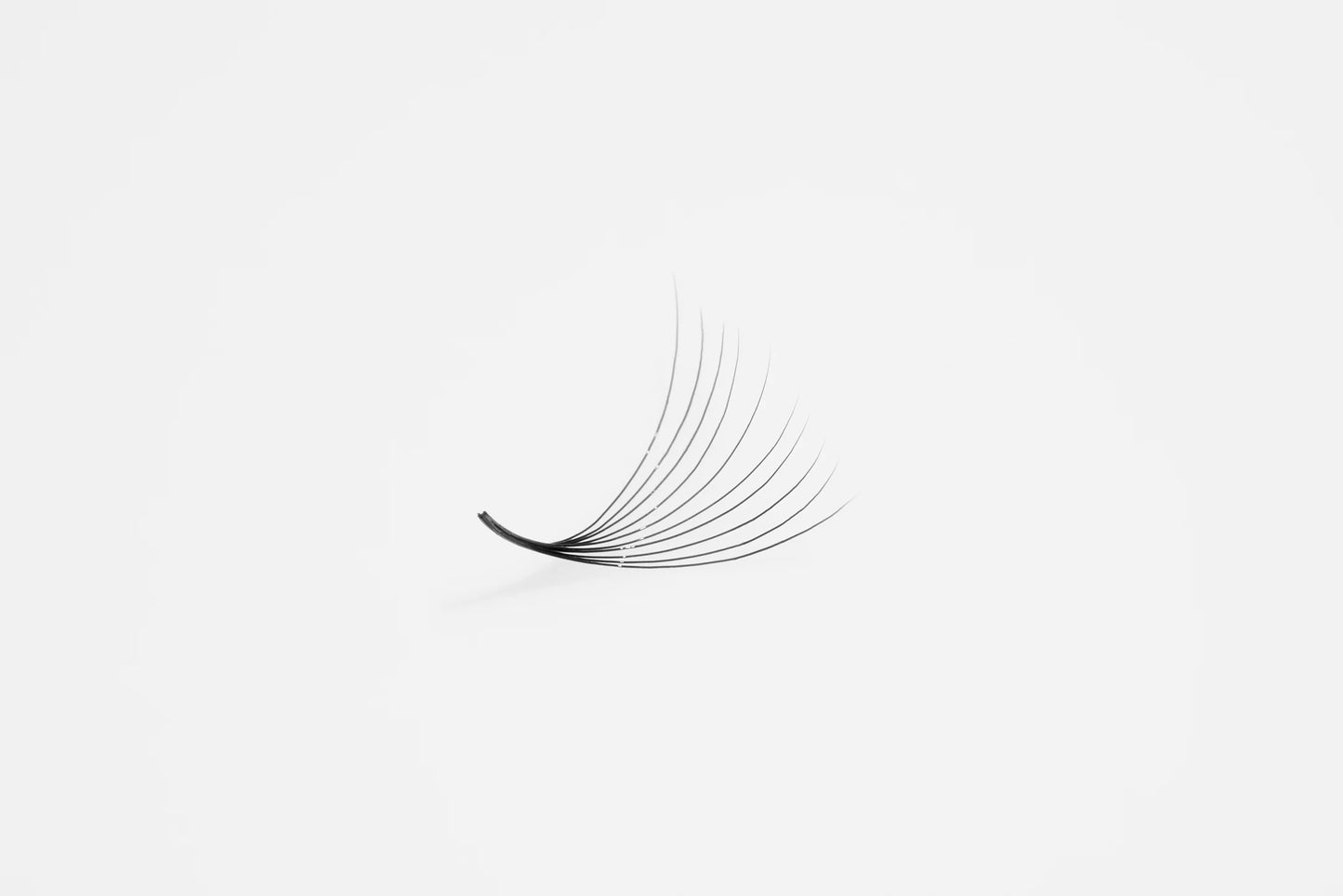 10D Promade Fans - XXL Box | Volume 1200 Fans | Premade volume fans for professional eyelash extension