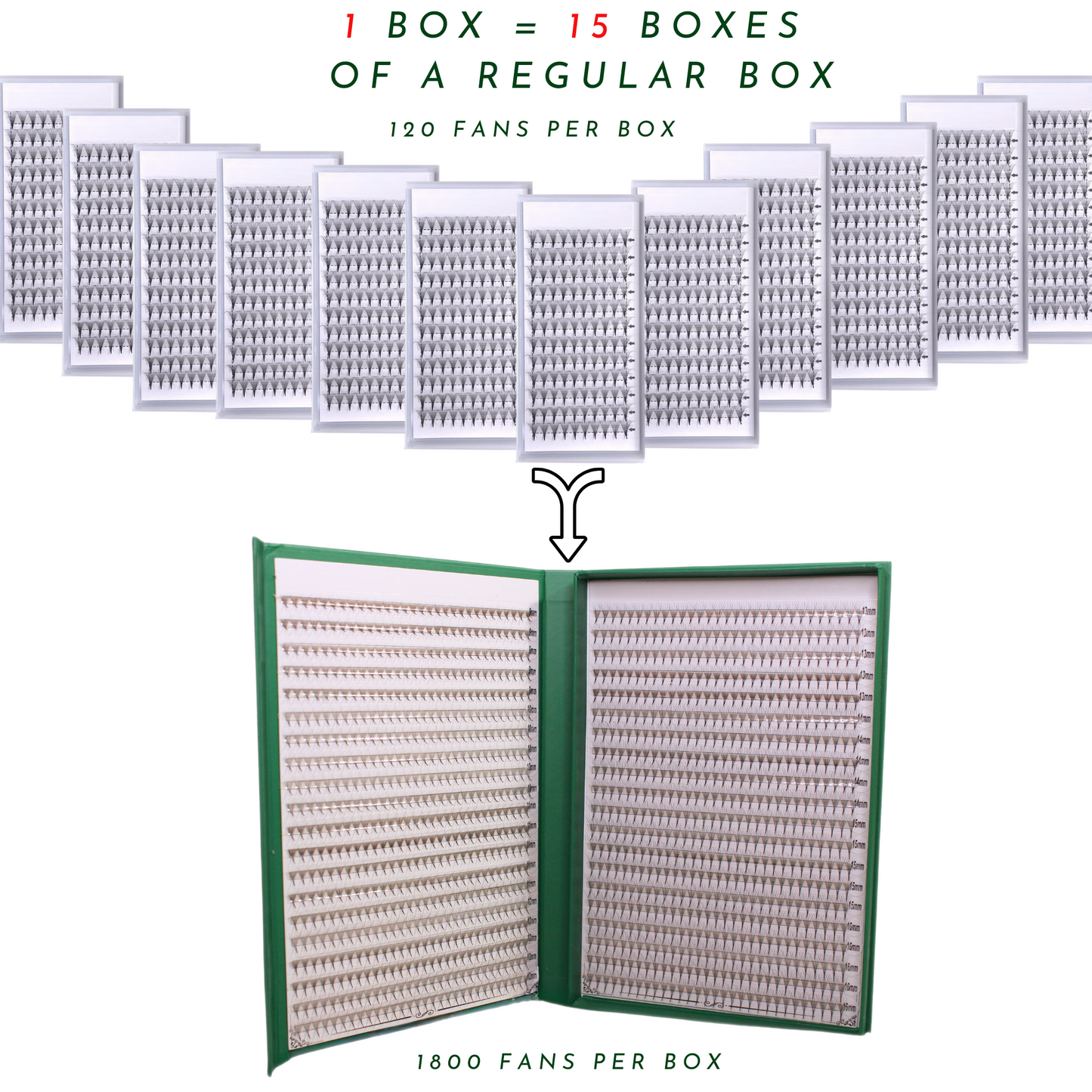 XXL Box | 1800 Fans | Nano Fans | 5D volume | 40 Lines| 8 sizes in 1 | Premade Volume Fans