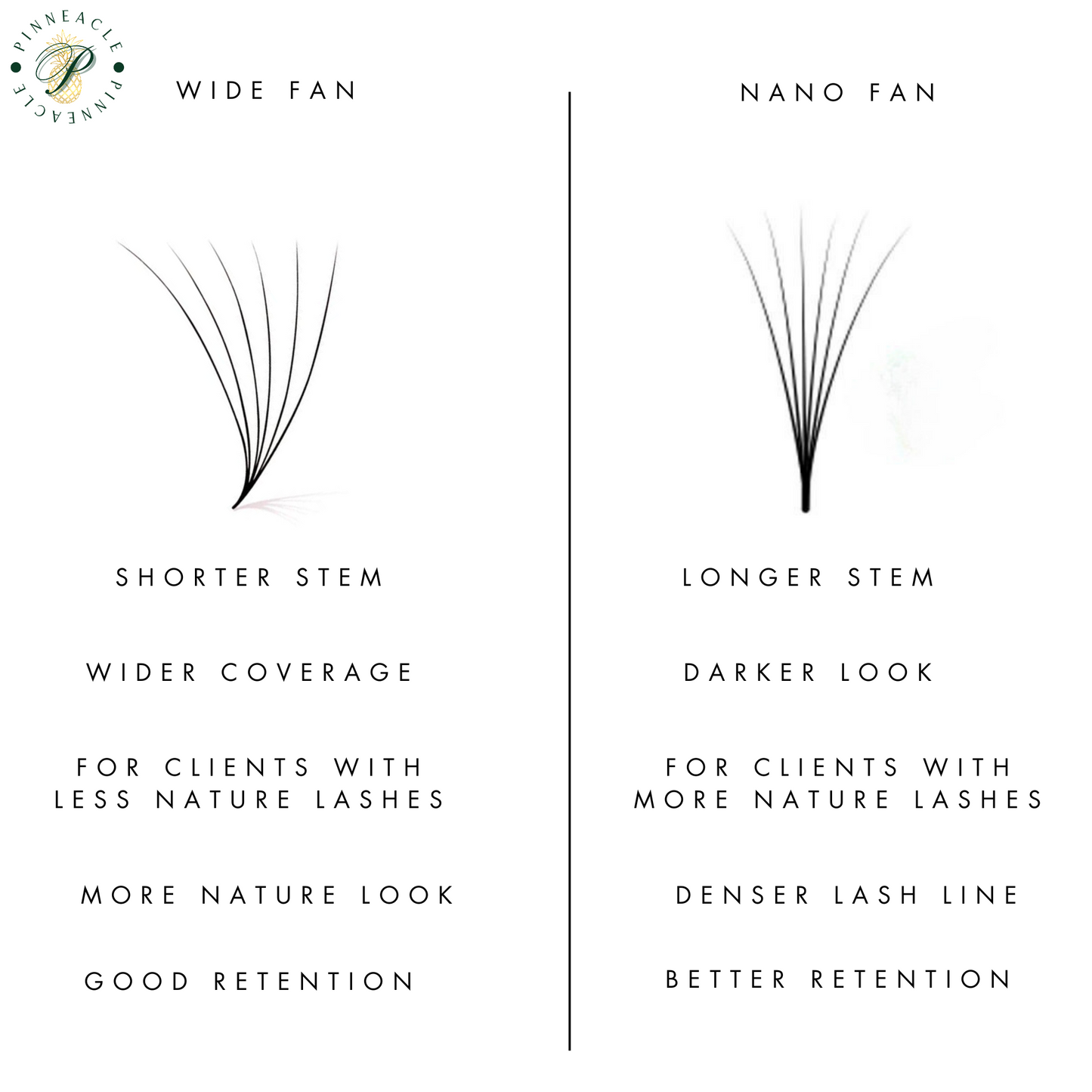 XXL Box | 1800 Fans | Nano Fans | 5D volume | 40 Lines| 8 sizes in 1 | Premade Volume Fans