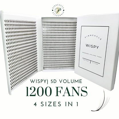 XXL Box |  Wispy Premade Fans - 1200 Fans | 5D | Multiple Sizes In 1 | Premade Spike + Volume Fans