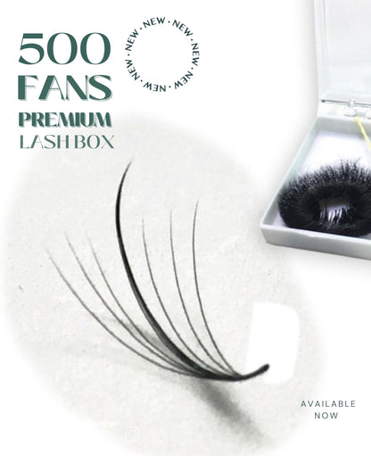 Wispy 500 Fans | 7D volume | C curl | 17mm (spike 19mm)