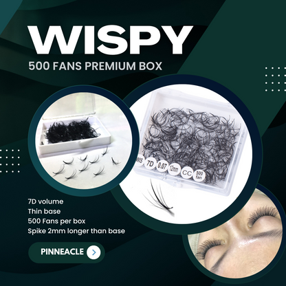 Wispy 500 Fans | 7D volume | C curl | 11mm (spike 13mm)