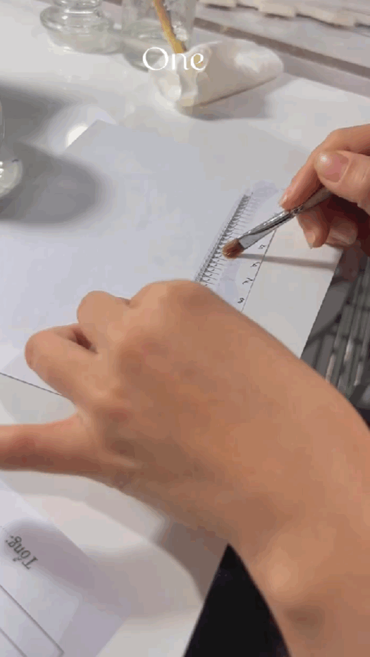 8D Volume - 1000 Fans Promade Volume Fans For Professional Eyelash Extension - Pinneacle Lash