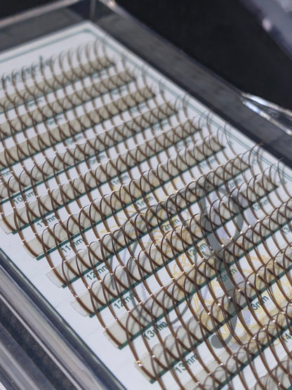 Brown Premade Wet Spike - 5D Closed Tip Spike For Professional Eyelash Extensions