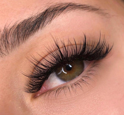 Pack Of 3 - Matte Black Classic Tray C, CC, D, B, M, L, L+, LC, LD - Pinneacle Lash - Lash Supply For Professional Eyelash Extension