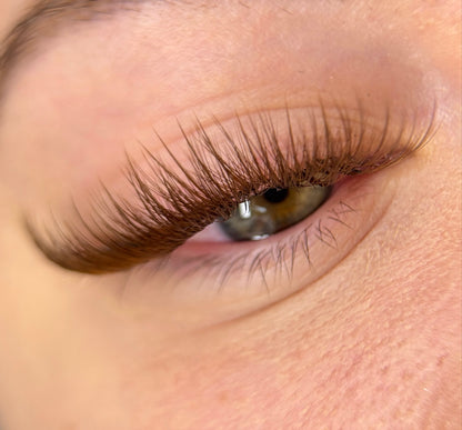 Brown Premade Wet Spike - 5D Closed Tip Spike For Professional Eyelash Extensions