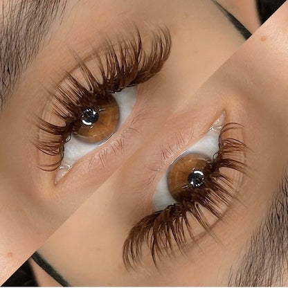 Coco Brown Classic Tray 0.07 C, CC, D, B, M, L, L+, LC, LD - Pinneacle Lash - Lash Supply For Professional Eyelash Extension