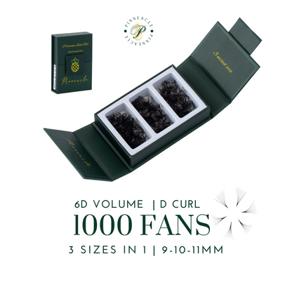 1000 Fans - 3 sizes in 1 box - 0.07 - 6D volume (9-10-11mm)