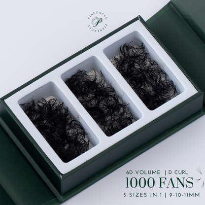 1000 Fans - 3 sizes in 1 box - 0.07 - 6D volume (9-10-11mm)