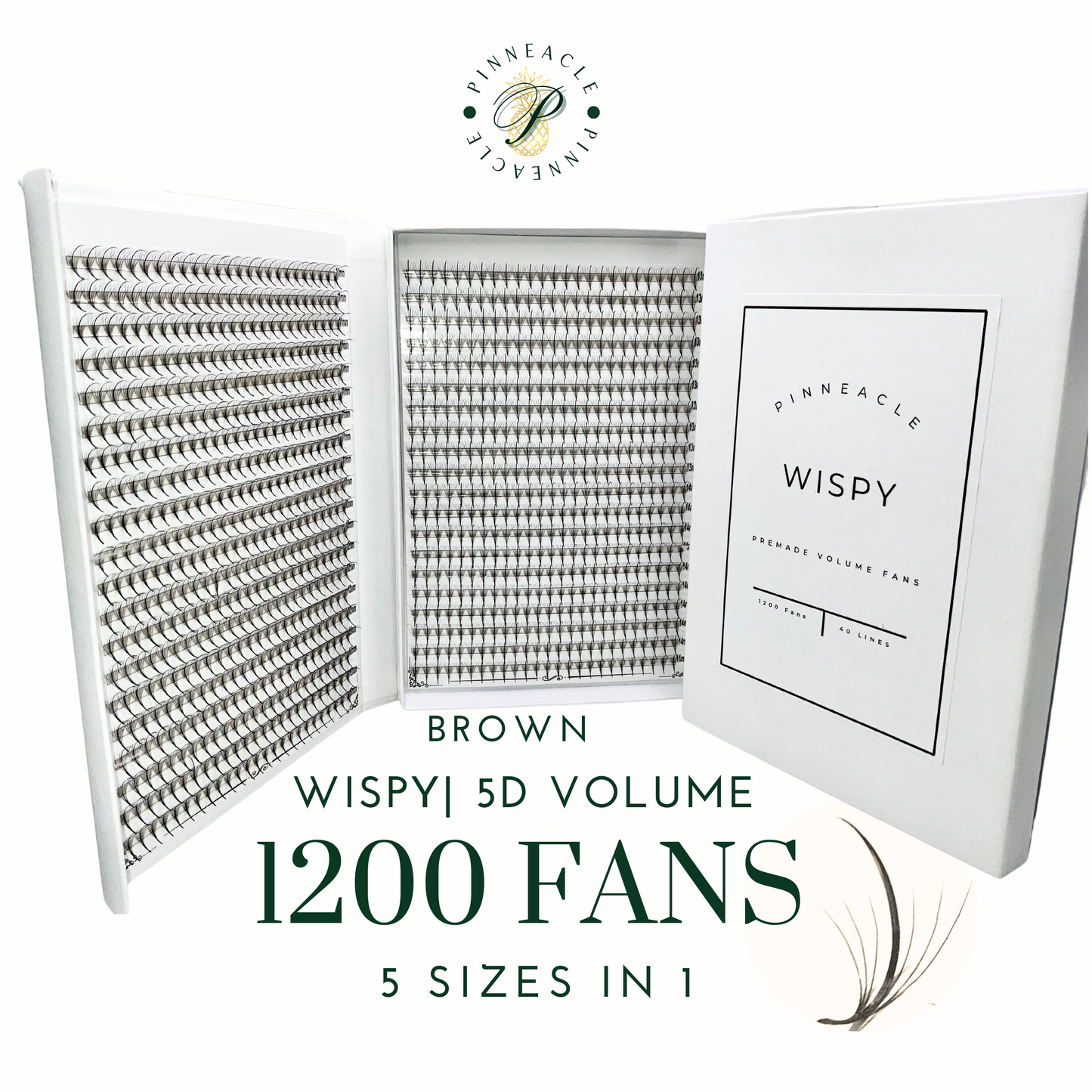 XXL Box | Wispy 1200 Fans | Brown | 5D Volume |  40 Lines | 5 sizes in 1 | Premade Volume Fans Eyelash Extensions