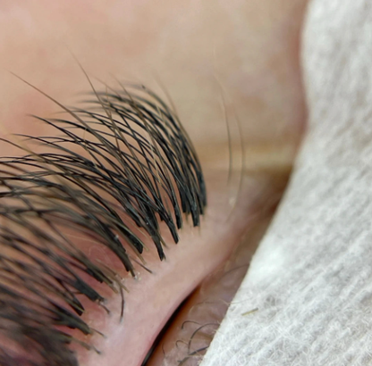 8D Volume - 1000 Fans Promade Volume Fans For Professional Eyelash Extension - Pinneacle Lash